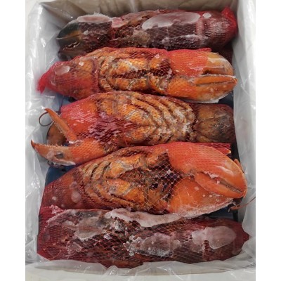 BOGAVANTE CRUDO 450-500 G 5KG/C