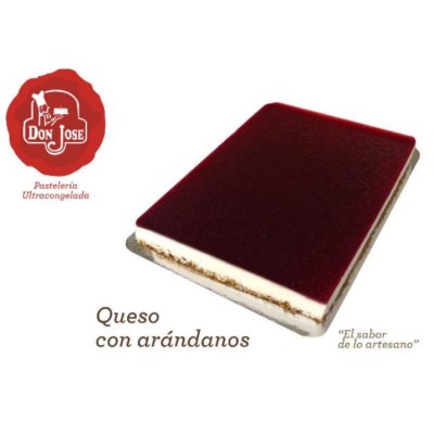 PLANCHA QUESO ARANDANOS CORTADA DON