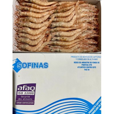 GAMBA SOFINA 3A 100PZAS C/ 10 X 1